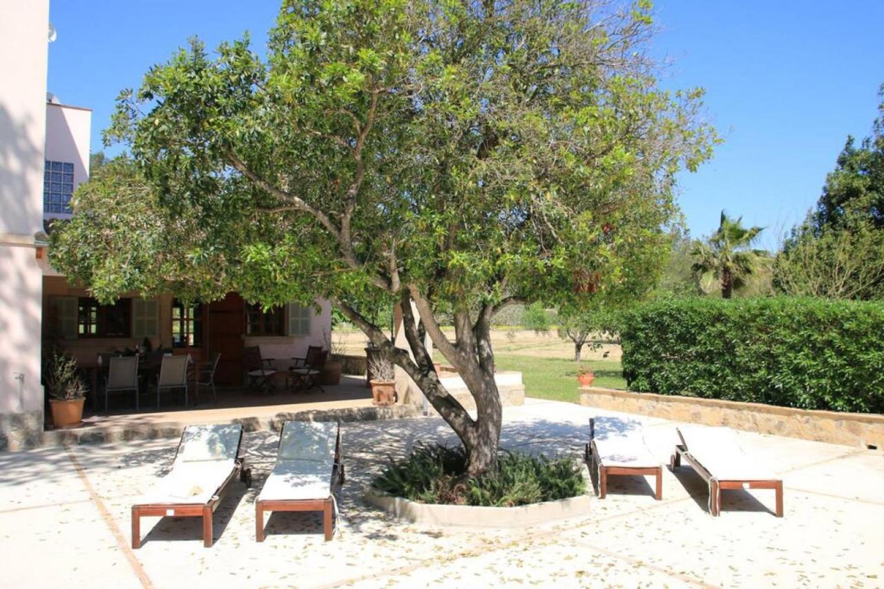 Ferienhaus Sa Canova Petra (Mallorca)